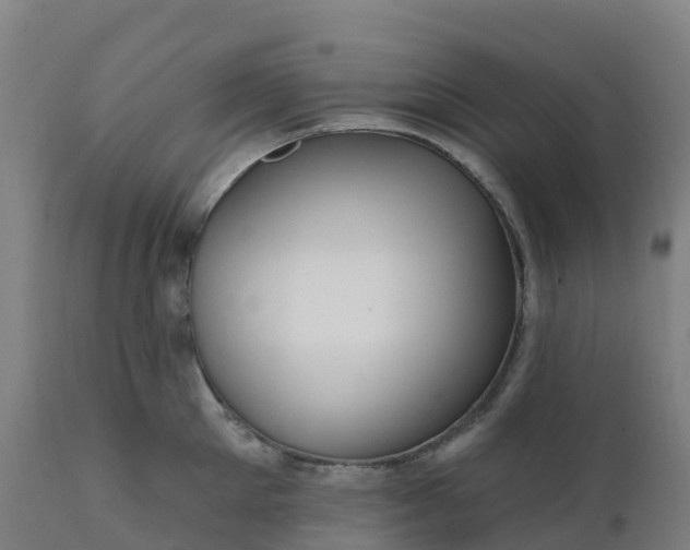 X0000112430905200908281859