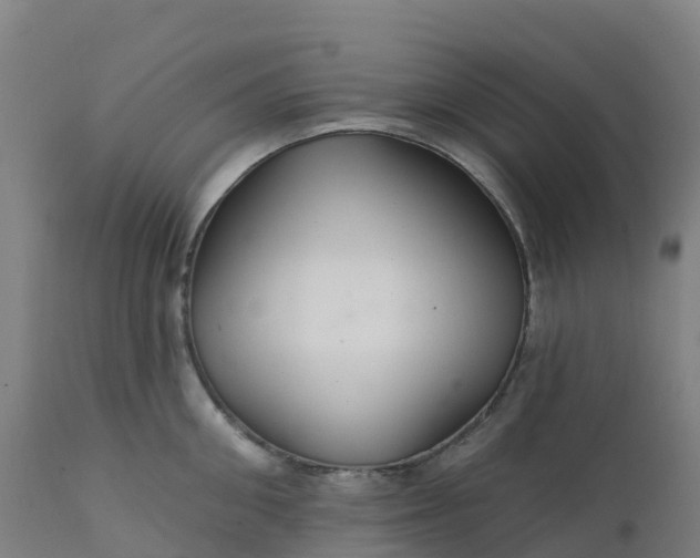 X0000112430906200908281859