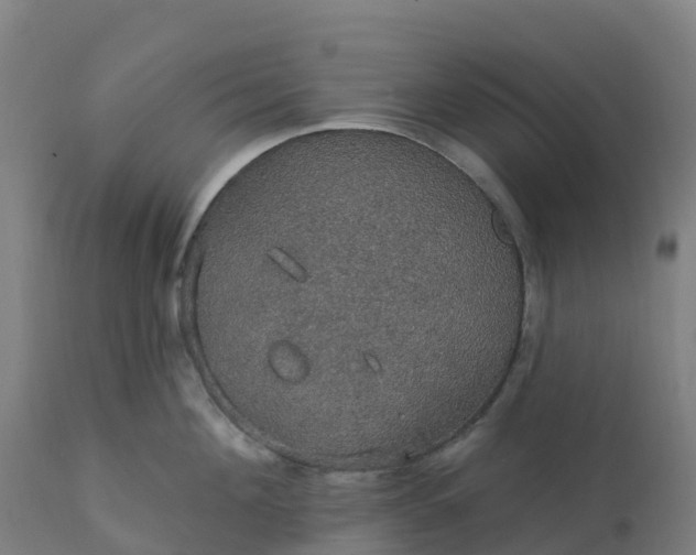 X0000112430908200908281859