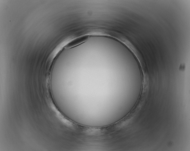 X0000112430909200908281859