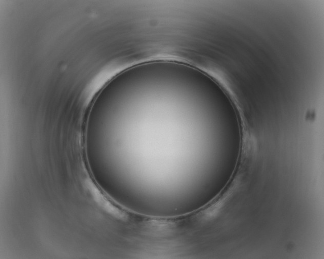 X0000112430910200908281859