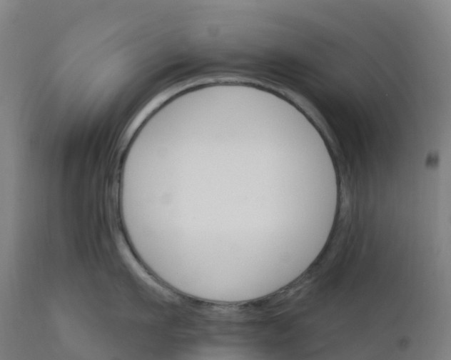 X0000112430911200908281859