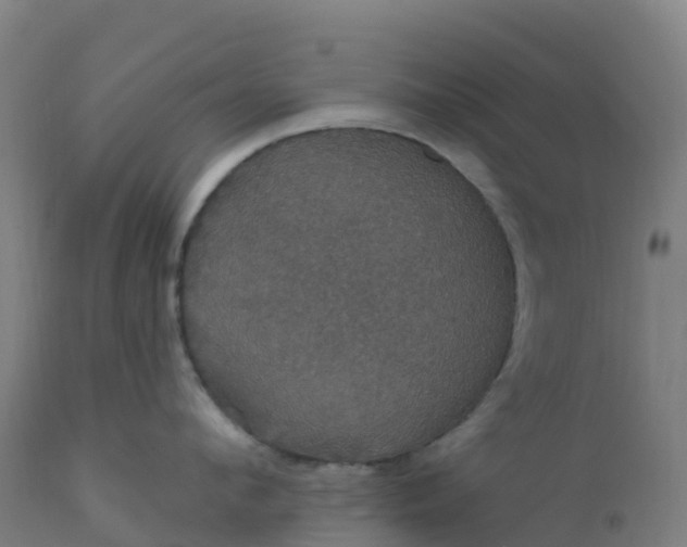 X0000112430912200908281859