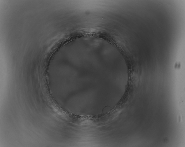 X0000112430913200908281858