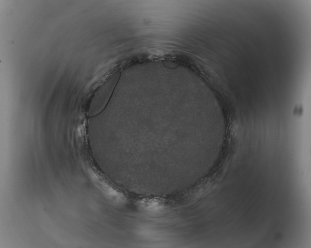 X0000112430914200908281858