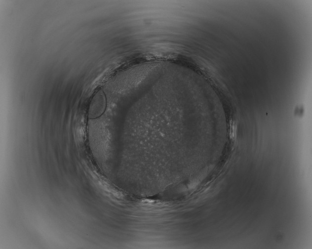 X0000112430915200908281858