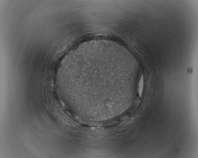 X0000112430916200908281858