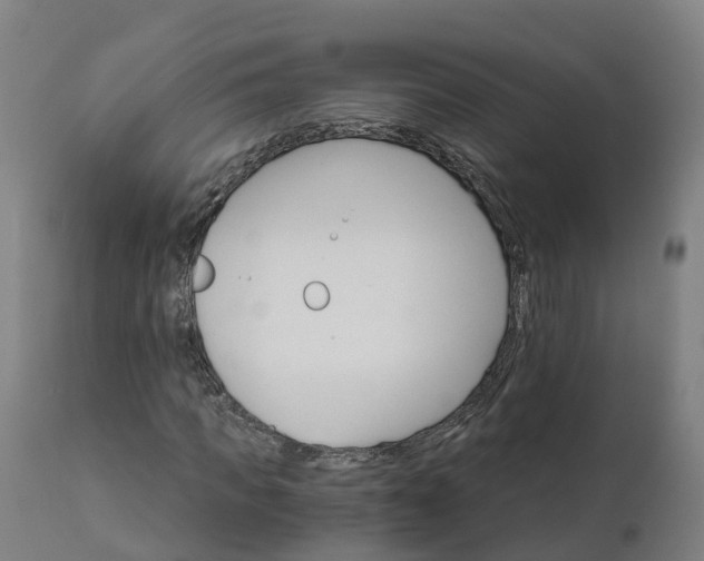 X0000112430917200908281858