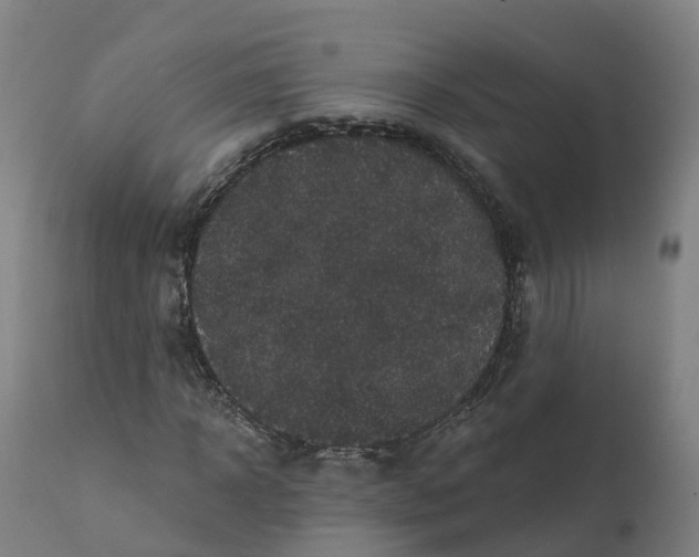 X0000112430918200908281858