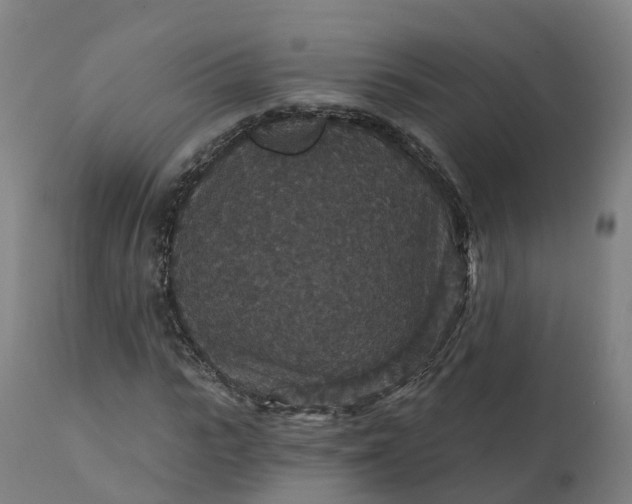 X0000112430919200908281858