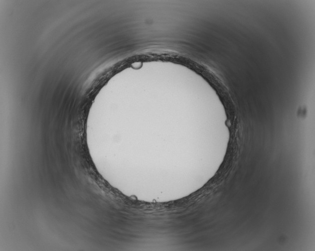 X0000112430920200908281858