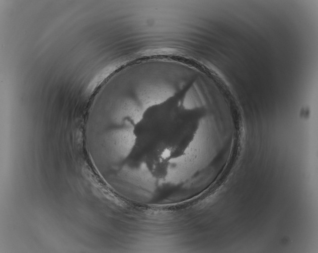 X0000112430921200908281858