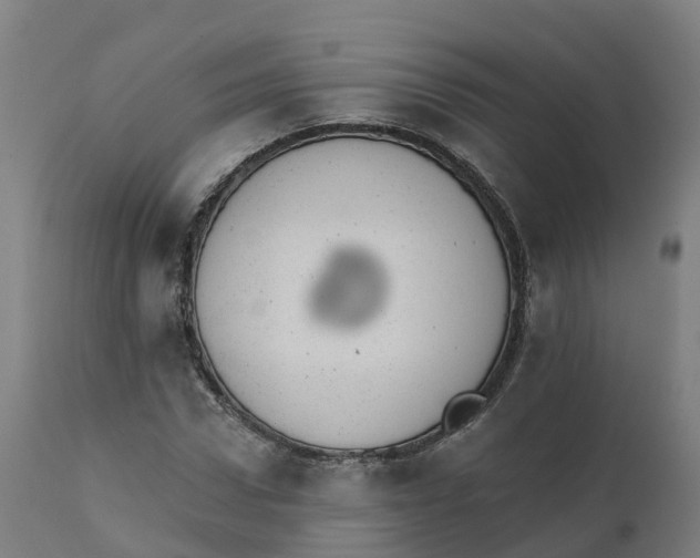 X0000112430922200908281859