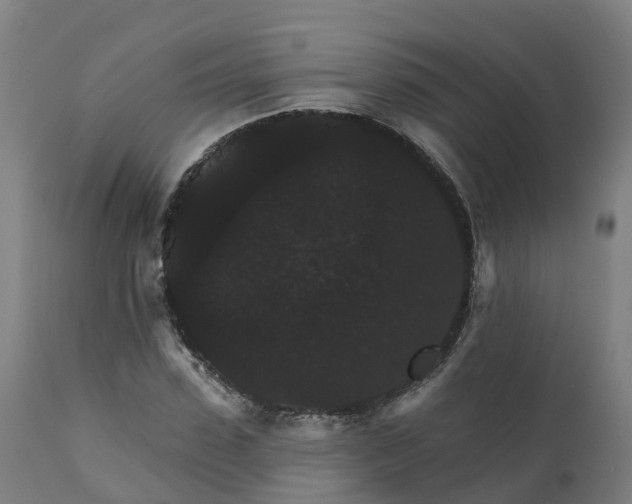 X0000112430923200908281859