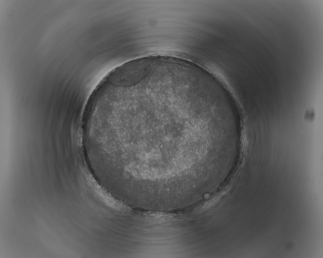 X0000112430924200908281859