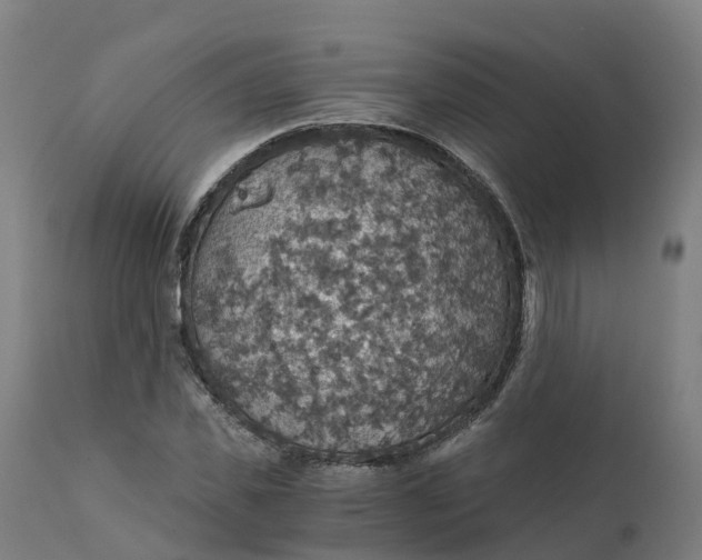 X0000112430925200908281859