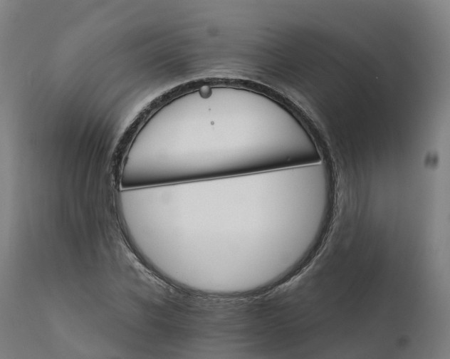 X0000112430926200908281859