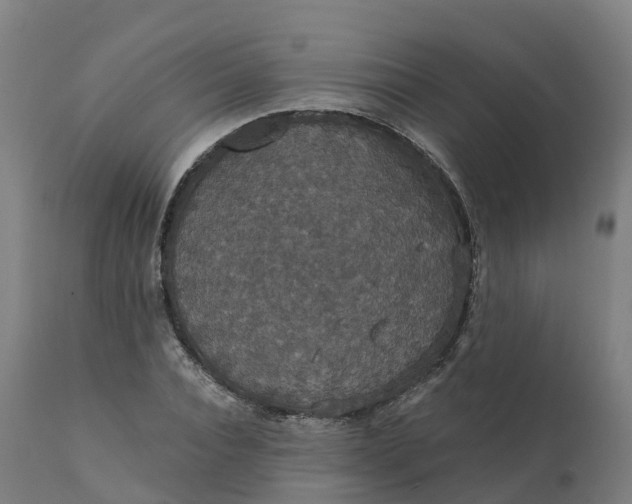 X0000112430928200908281859