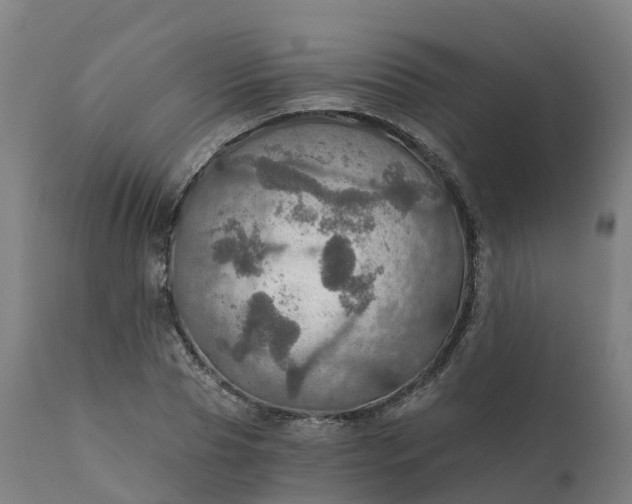 X0000112430929200908281859