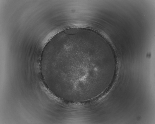 X0000112430930200908281859