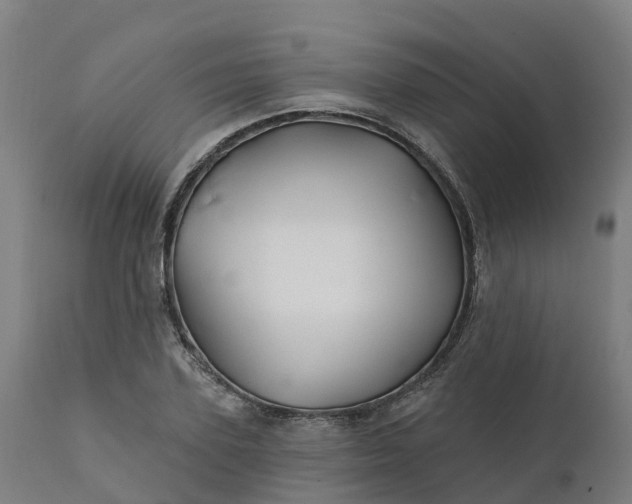 X0000112430931200908281859