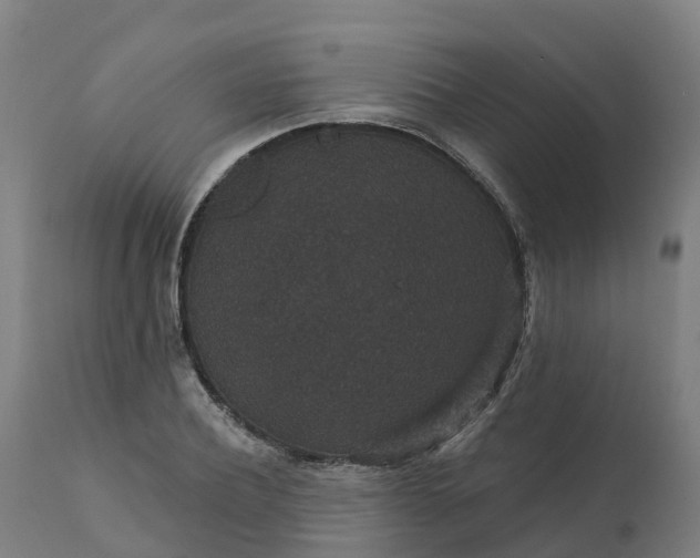 X0000112430932200908281859