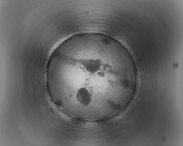 X0000112430933200908281859