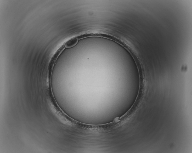 X0000112430934200908281859