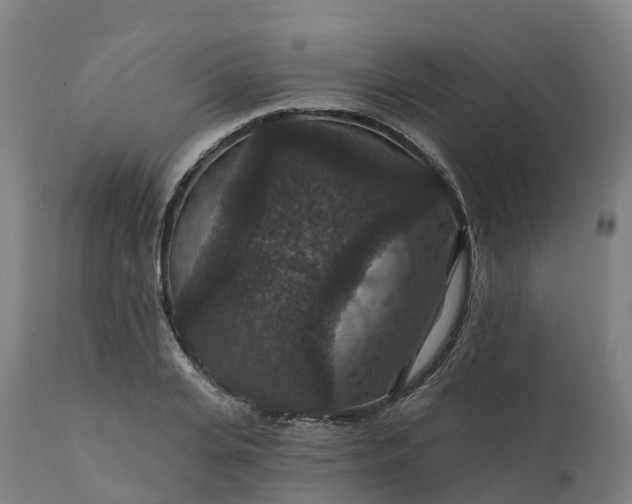 X0000112430935200908281859