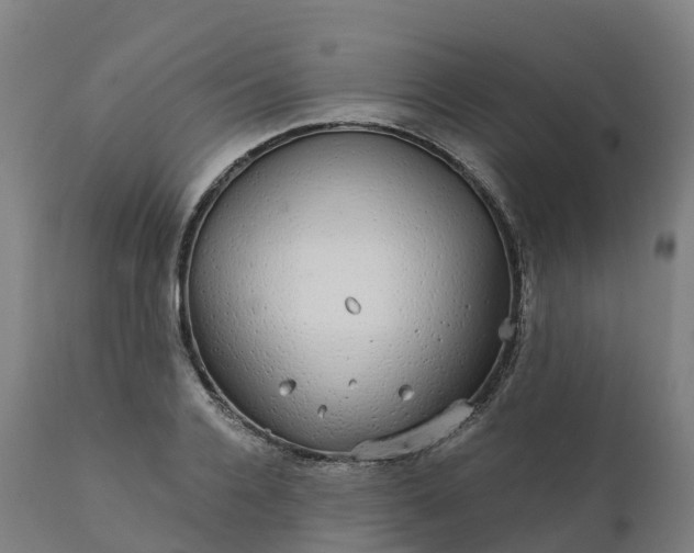 X0000112430936200908281859