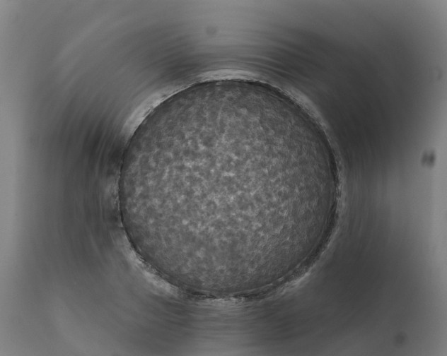 X0000112430937200908281859