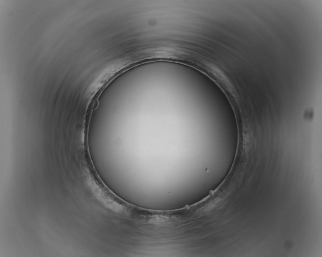 X0000112430938200908281859