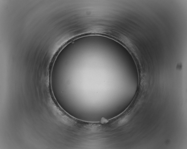 X0000112430939200908281859