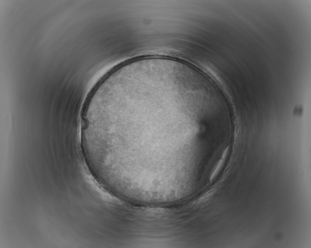 X0000112430940200908281859