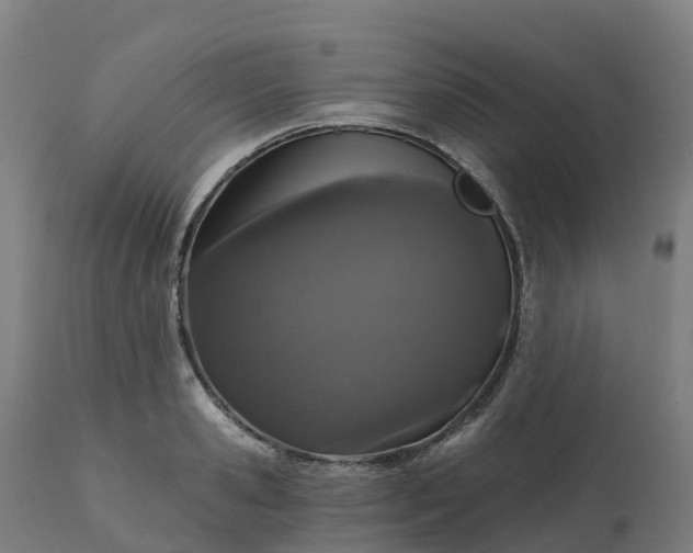 X0000112430941200908281859