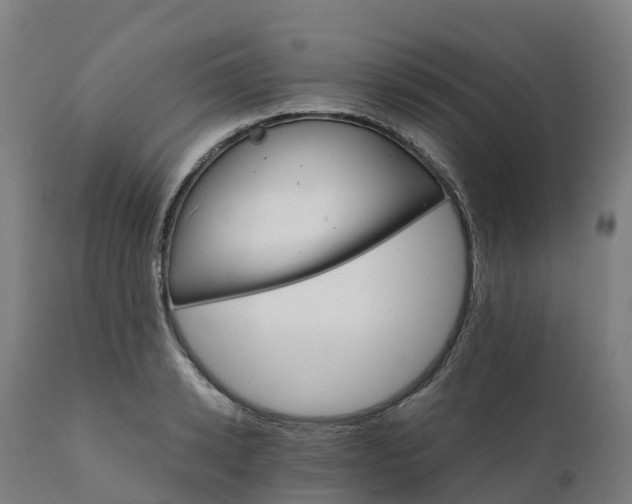 X0000112430942200908281859