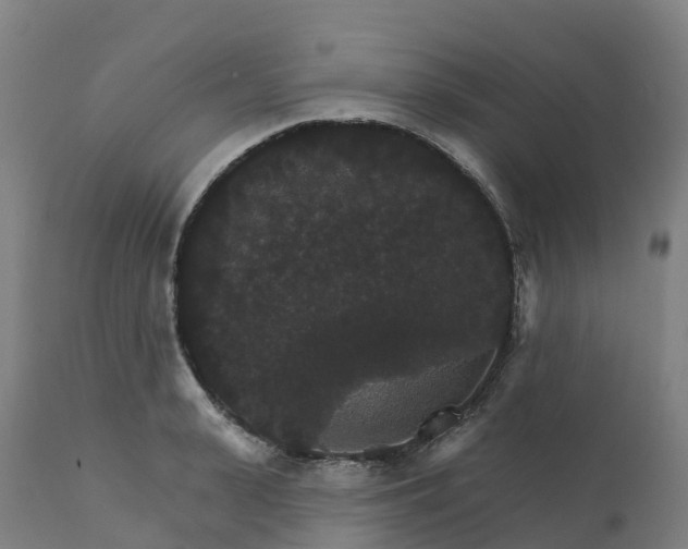 X0000112430943200908281859