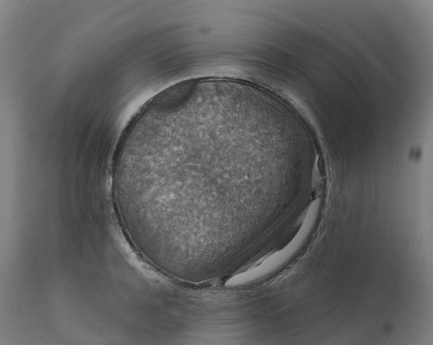 X0000112430944200908281859