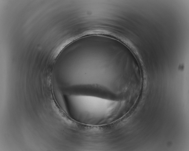 X0000112430945200908281859