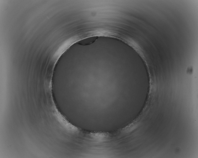 X0000112430946200908281859