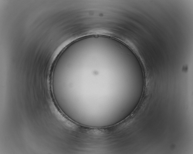 X0000112430947200908281859