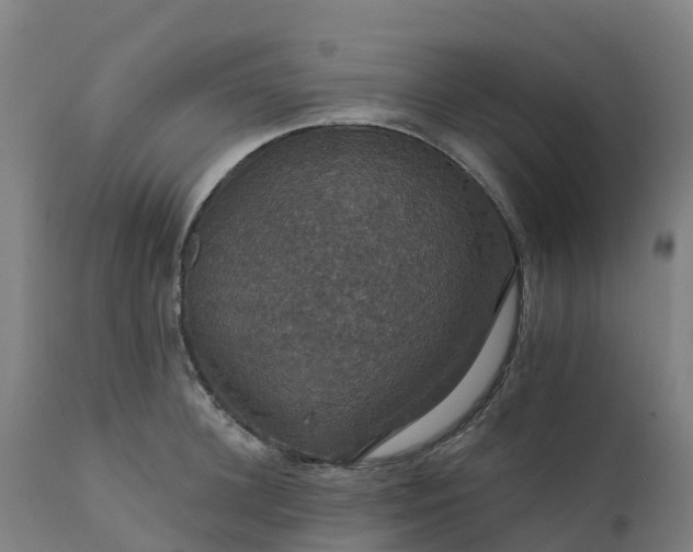 X0000112430948200908281859