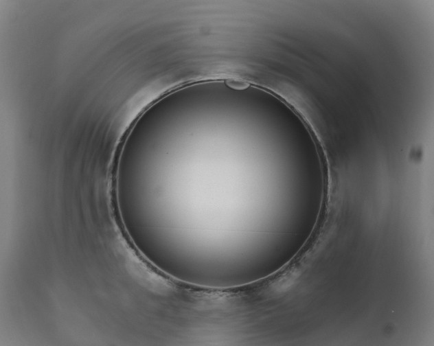 X0000112430949200908281859