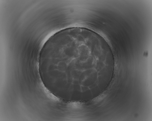 X0000112430950200908281859