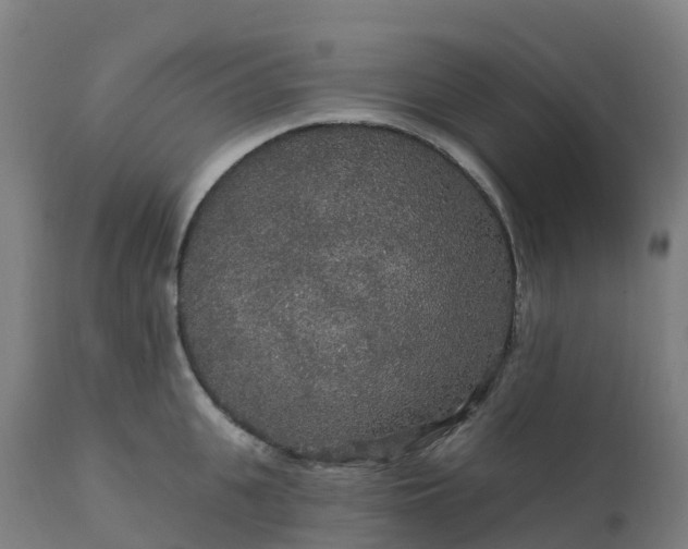 X0000112430951200908281859