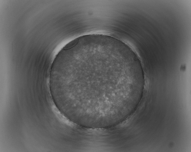 X0000112430952200908281859