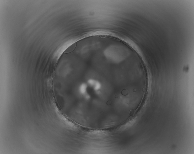 X0000112430953200908281859