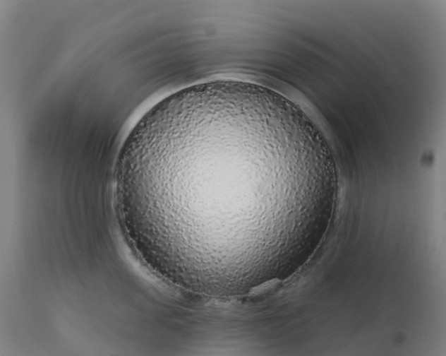 X0000112430955200908281859