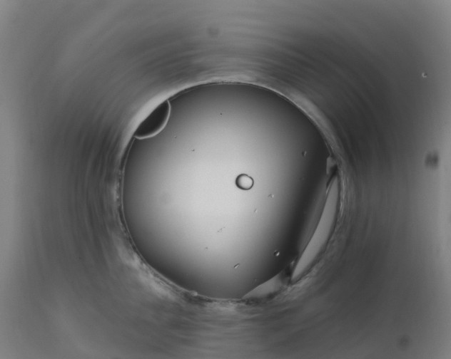 X0000112430956200908281859