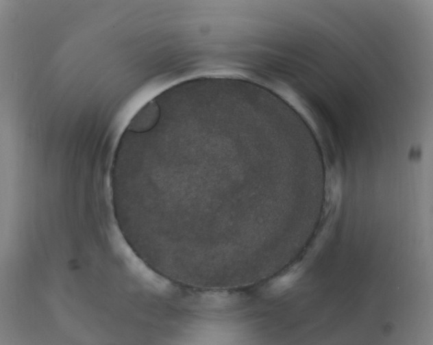 X0000112430959200908281859